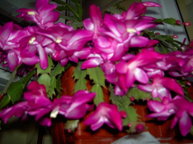 Name:  Resim 093.jpg
Views: 3539
Size:  44.0 KB