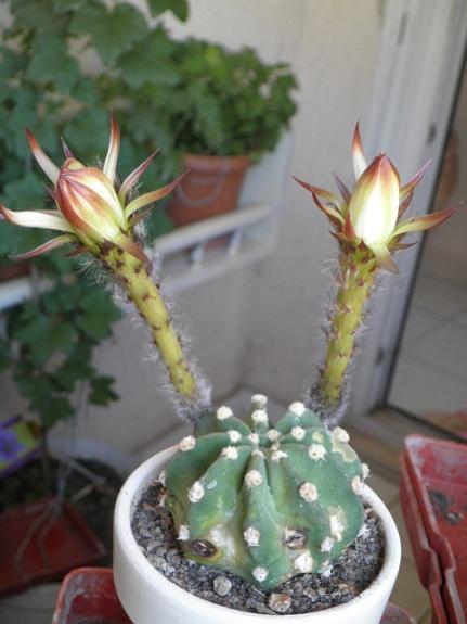 Name:  1i-04.07.2012 - Kopya.jpg
Views: 13050
Size:  33.2 KB