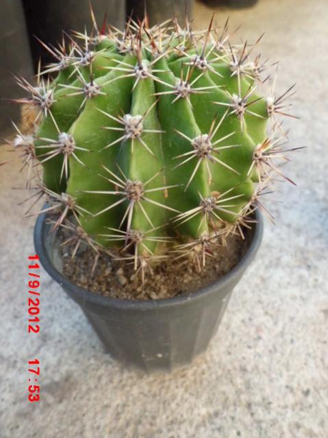 Name:  Resim 059.jpg
Views: 15048
Size:  47.0 KB
