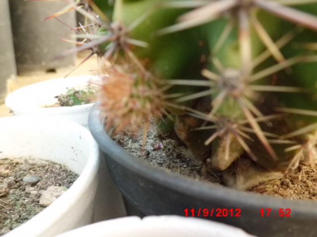 Name:  Resim 057.jpg
Views: 14663
Size:  35.8 KB