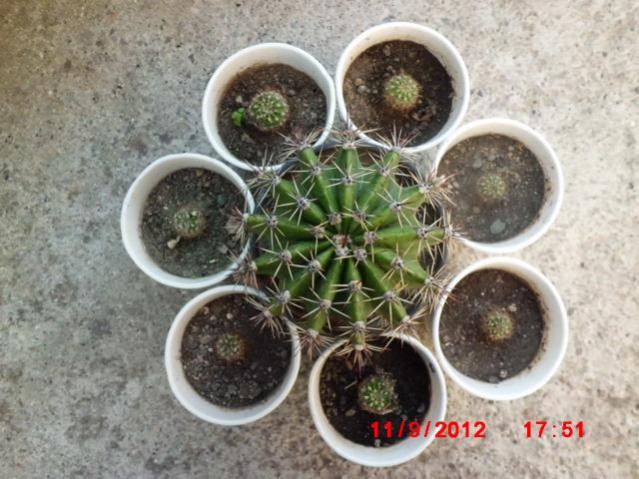 Name:  Resim 049.jpg
Views: 14881
Size:  56.1 KB