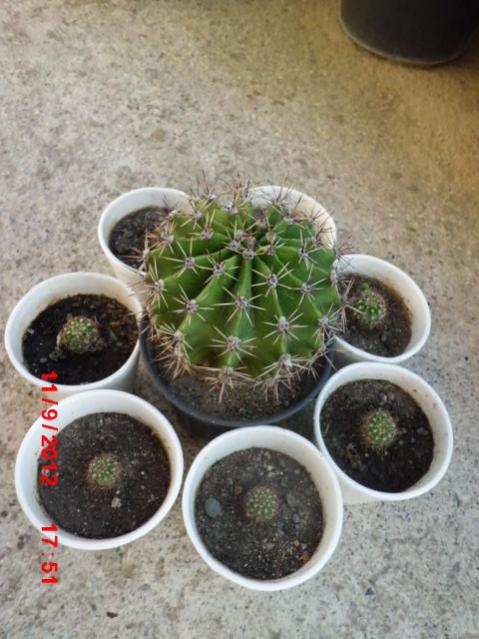 Name:  Resim 054.jpg
Views: 14864
Size:  52.4 KB