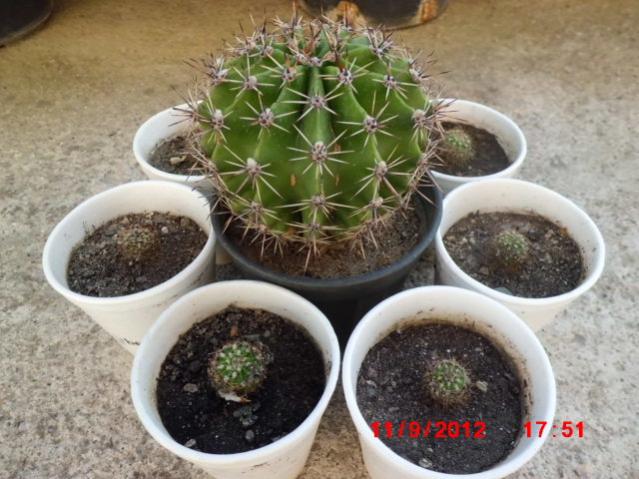 Name:  Resim 051.jpg
Views: 15078
Size:  54.8 KB