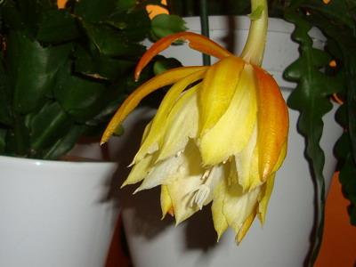 Name:  5.jpg
Views: 3286
Size:  50.6 KB