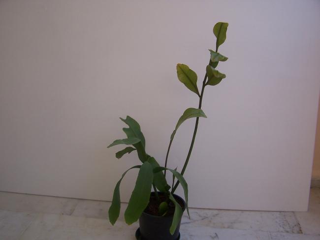 Name:  011.jpg
Views: 737
Size:  16.8 KB