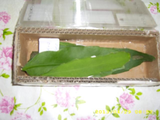 Name:  DSCI5472.jpg
Views: 667
Size:  30.0 KB