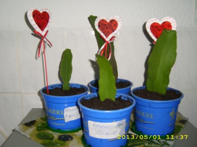 Name:  DSCI5490.jpg
Views: 667
Size:  31.9 KB