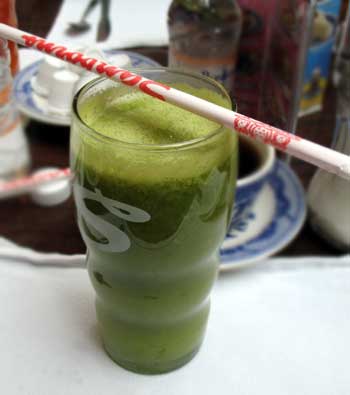 Name:  nopal.jpg
Views: 42835
Size:  12.5 KB