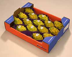 Name:  pitahaya_caja.jpg
Views: 41454
Size:  7.4 KB