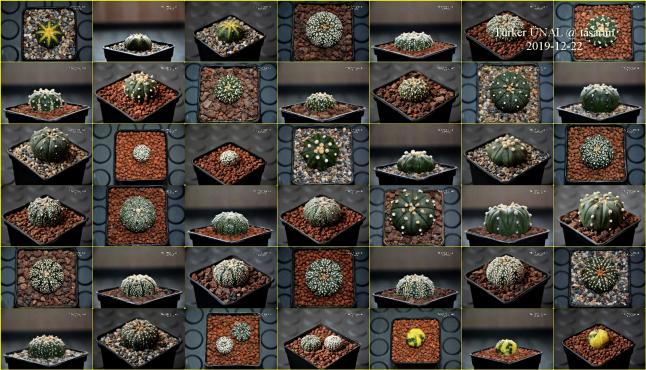 Name:  2019 12 22-001.jpg
Views: 1439
Size:  69.8 KB