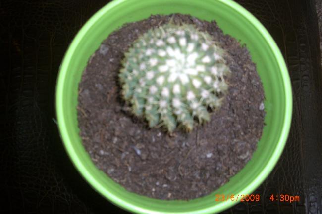 Name:  sahibinden_CIMG3808.jpg
Views: 2252
Size:  34.1 KB