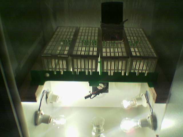 Name:  Image(008).jpg
Views: 56342
Size:  20.7 KB