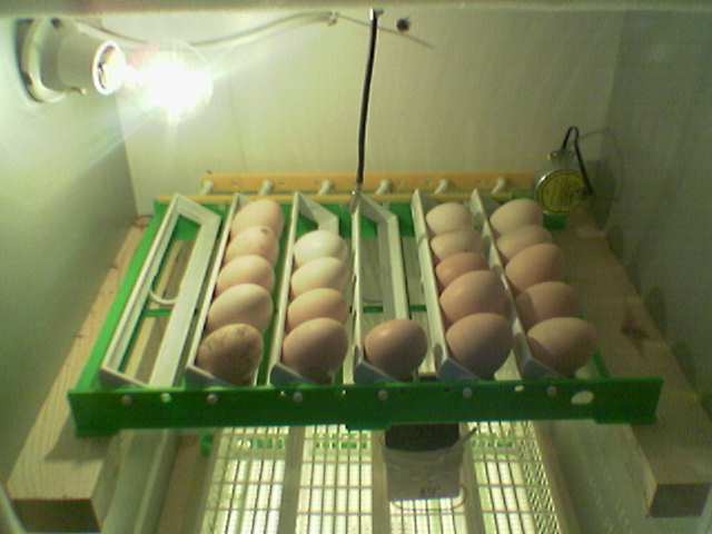 Name:  Image(009).jpg
Views: 57985
Size:  24.3 KB