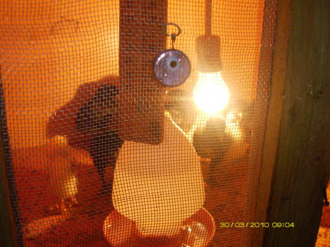 Name:  PICT0849.jpg
Views: 6036
Size:  61.9 KB