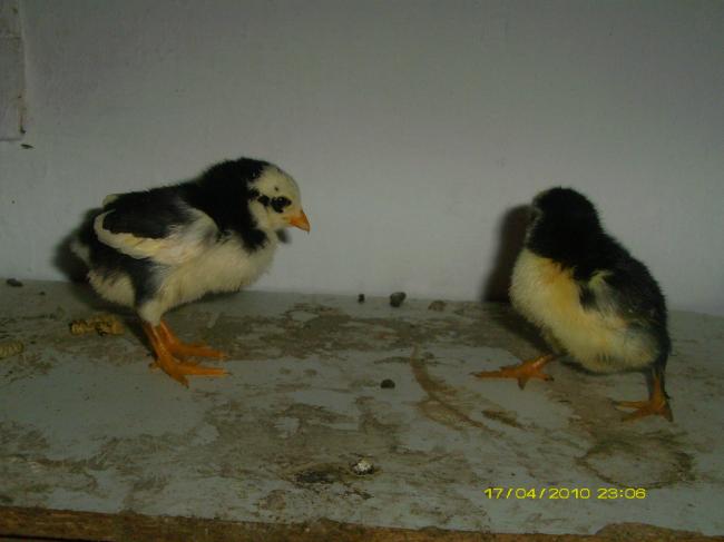 Name:  ParcaliBulutlu.jpg
Views: 7326
Size:  28.3 KB