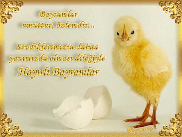 Name:  bayram10060.jpg
Views: 5768
Size:  29.3 KB