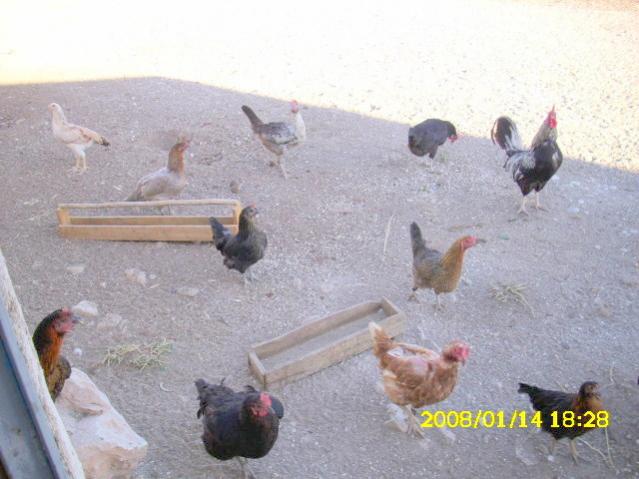 Name:  DSCI0276.jpg
Views: 1546
Size:  44.3 KB