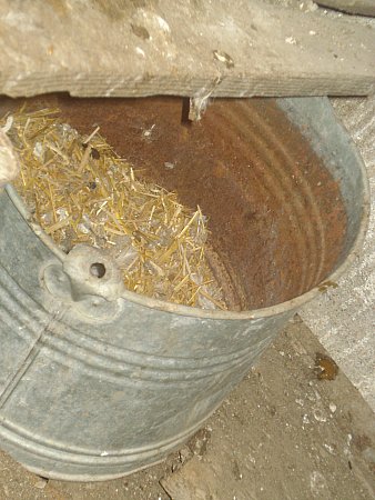 Name:  DSC08740.jpg
Views: 4216
Size:  44.0 KB