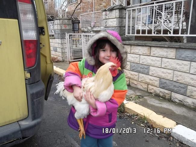 Name:  SAM_2992.jpg
Views: 3074
Size:  61.6 KB