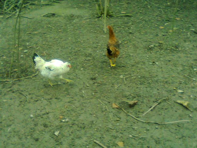 Name:  Fotoğraf1743.jpg
Views: 1298
Size:  54.2 KB