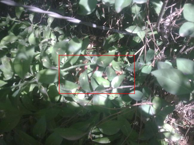 Name:  Resim 130.jpg
Views: 1433
Size:  51.4 KB