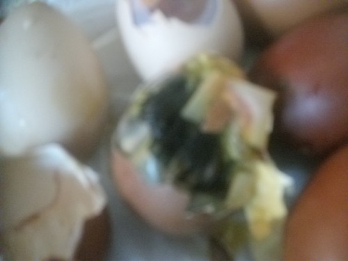 Name:  1.jpg
Views: 10789
Size:  25.8 KB