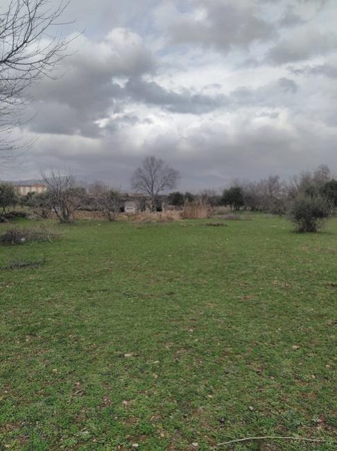 Name:  kmes uzaktan.jpg
Views: 329
Size:  52.3 KB