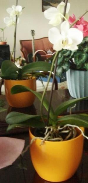 Name:  resim002we.jpg
Views: 3749
Size:  23.2 KB