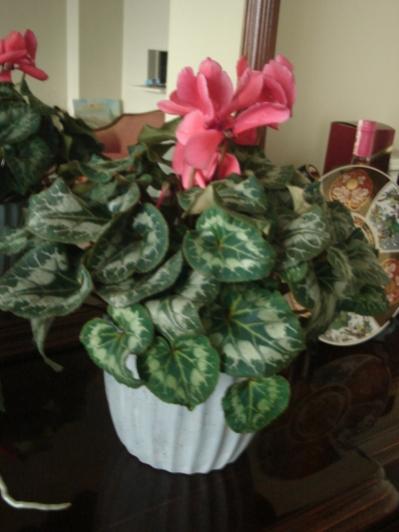 Name:  resim003ek.jpg
Views: 3817
Size:  27.3 KB