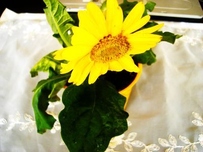 Name:  DSC06808.JPG
Views: 785
Size:  38.2 KB