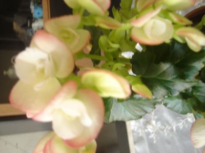 Name:  DSC06814.JPG
Views: 789
Size:  32.9 KB