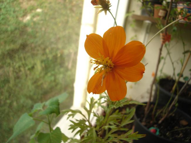Name:  DSC00462.jpg
Views: 732
Size:  35.4 KB
