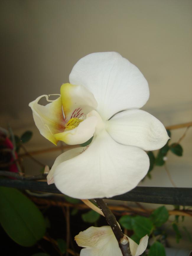 Name:  DSC00260.jpg
Views: 647
Size:  32.5 KB