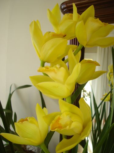 Name:  DSC00747.JPG
Views: 917
Size:  41.7 KB