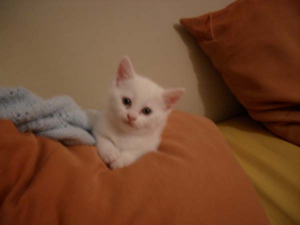 Name:  SDC10472.JPG
Views: 530
Size:  37.1 KB