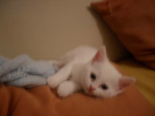 Name:  SDC10473.JPG
Views: 521
Size:  36.3 KB