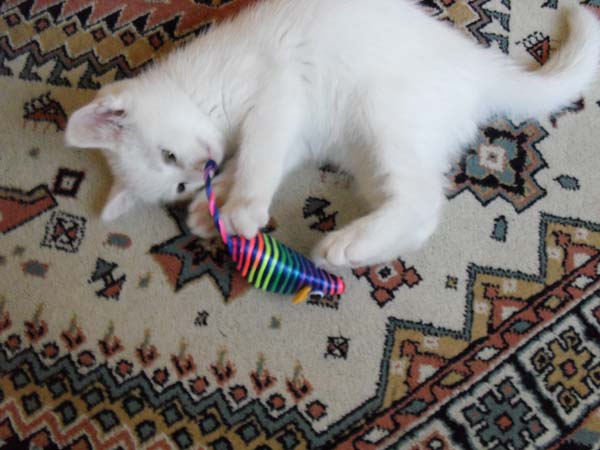 Name:  SDC10573.JPG
Views: 614
Size:  68.3 KB