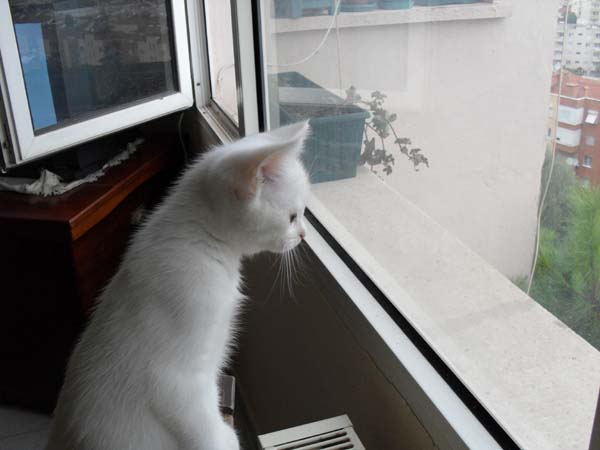 Name:  SDC10607.JPG
Views: 1853
Size:  53.4 KB