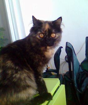 Name:  picture---00137.jpg
Views: 44574
Size:  55.2 KB
