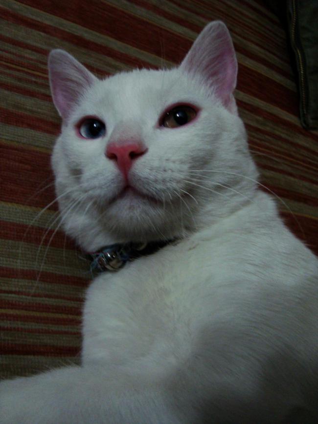 Name:  mrnak 3.jpg
Views: 658
Size:  52.6 KB