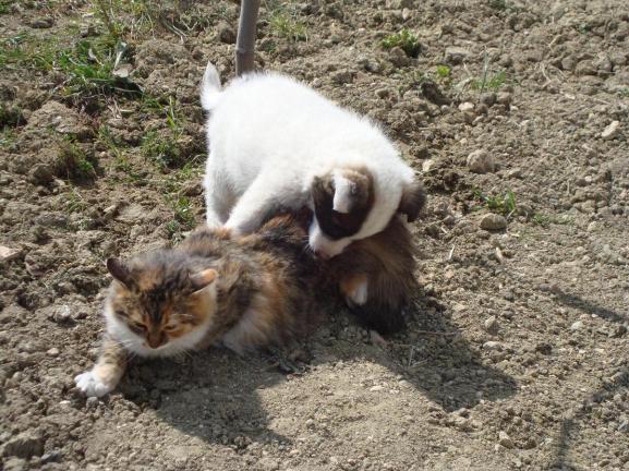 Name:  Mex ve sibel.jpg
Views: 1075
Size:  71.1 KB