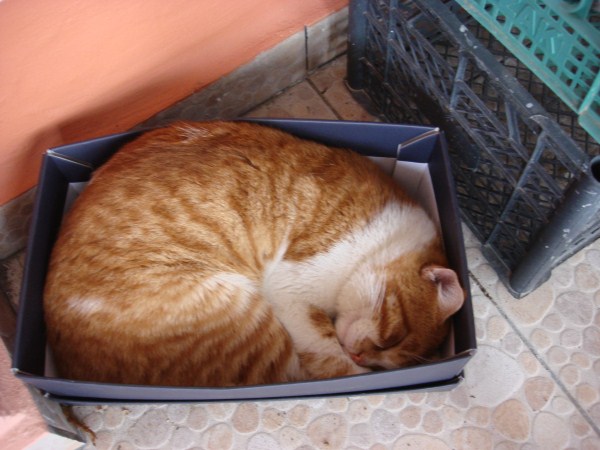 Name:  sakz.jpg
Views: 678
Size:  63.3 KB
