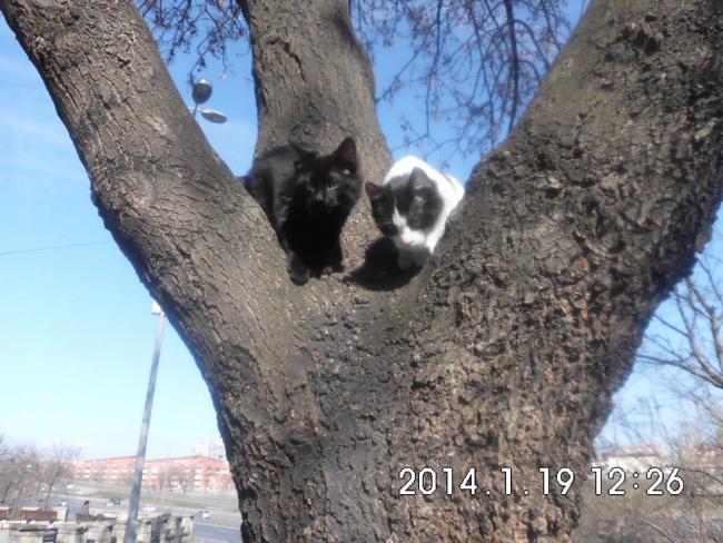 Name:  CIMG4938.jpg
Views: 1035
Size:  64.0 KB