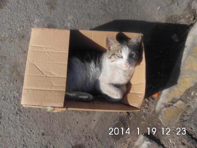 Name:  CIMG4935.jpg
Views: 1028
Size:  45.7 KB