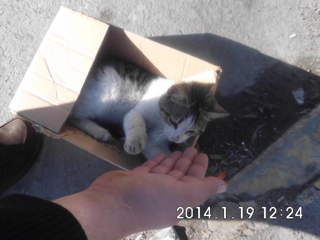 Name:  CIMG4936.jpg
Views: 1010
Size:  36.1 KB