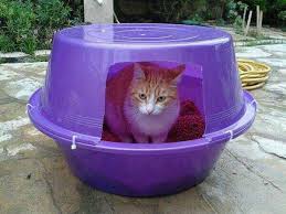 Name:  images (3).jpg
Views: 998
Size:  8.9 KB