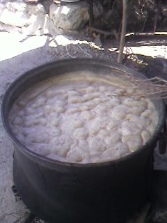 Name:  SP_A1919.jpg
Views: 26089
Size:  13.7 KB