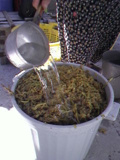 Name:  SP_A1888.jpg
Views: 36674
Size:  17.3 KB