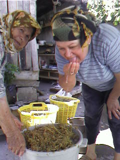 Name:  SP_A1894.jpg
Views: 37304
Size:  20.8 KB