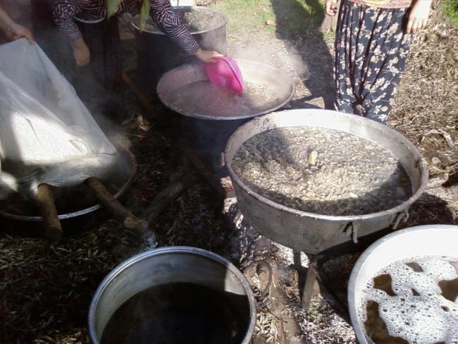 Name:  Kaynayan su salan pancarlar cuvallara süzülmesi için dolduruluyor.jpg
Views: 15687
Size:  60.1 KB